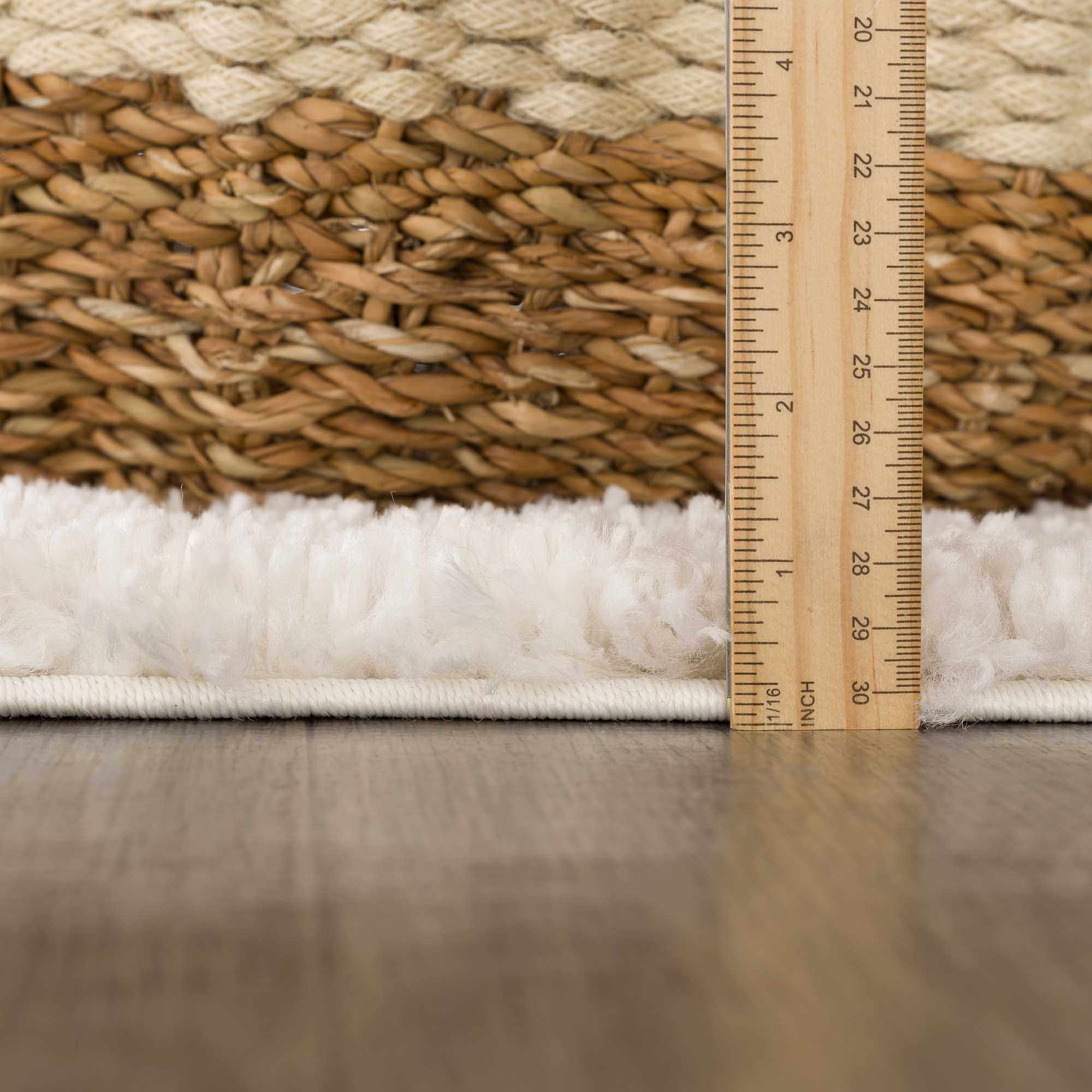 Trunding Plush Area Rug in Light Beige